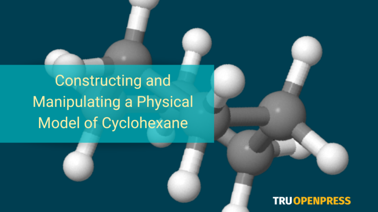 Constructing and Manipulating a Physical Model of Cyclohexane
